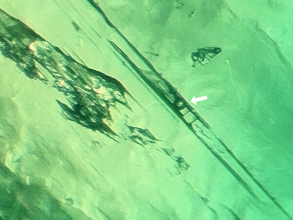 3 phase inclusion in an emerald